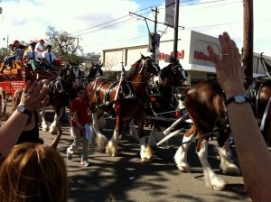 The Budweiser Clydesdales were in the first parade on Saturday